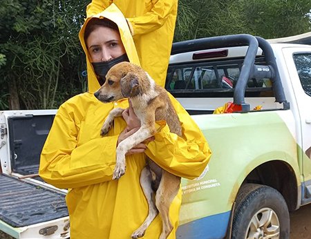 Secretaria de Meio Ambiente resgata animais em áreas alagadas