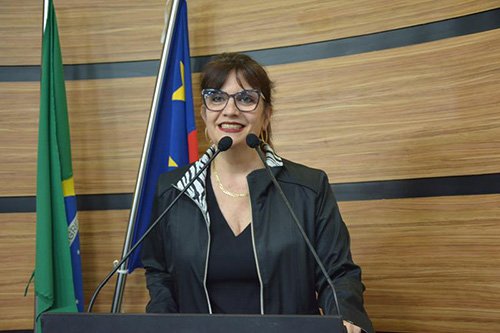 Câmara promove audiência pública sobre o Dia do Artista Plástico