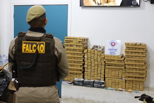 Esquadrão Falcão apreende 400 quilos de maconha durante abordagem