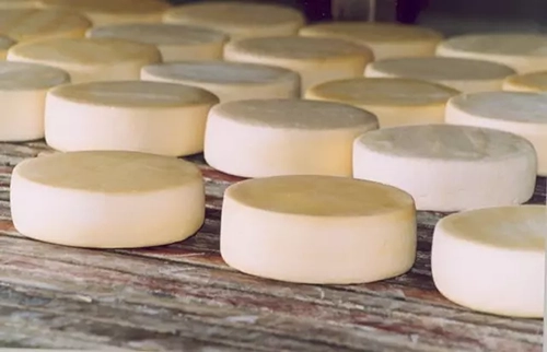 SENAR lança primeiro vídeo 360º para mostrar detalhes de uma queijaria artesanal