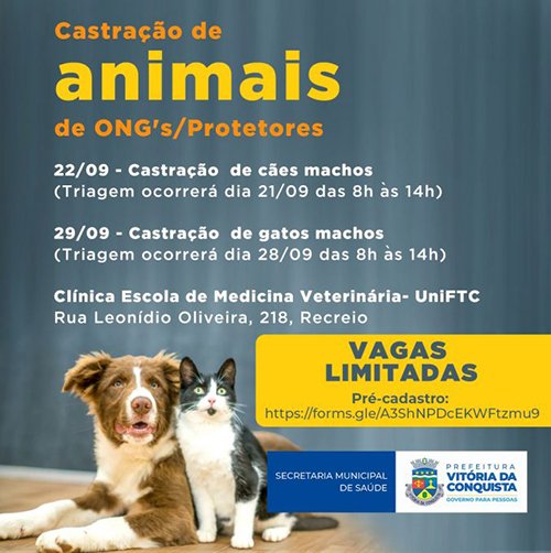 SMS lança pré-cadastro para castração de cães e gatos