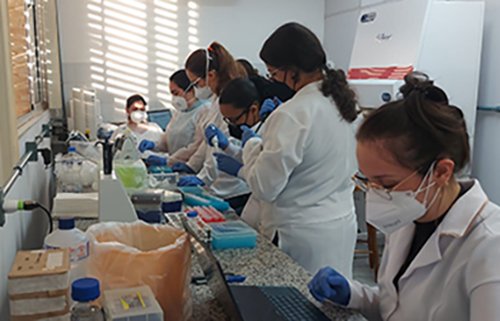 Parceria Ufba e SMS, trabalho sobre perfil de infectados pela Covid-19 no município é publicado em revista internacional