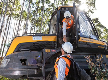 Veracel abre oportunidades nas áreas de Inventário Florestal, Processos Florestais, Mecânica e Manutenção