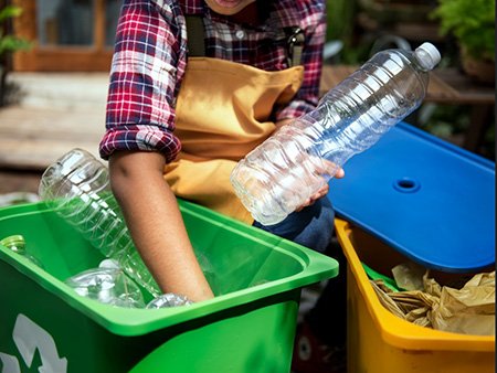 Na Semana do Meio Ambiente, veja o que você mesmo pode fazer