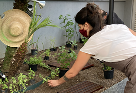 Curso inédito em EAD ensina como cultivar uma horta 