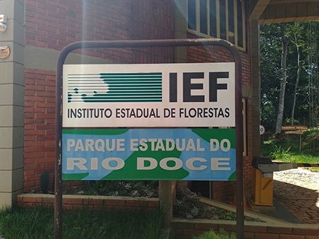 Aberta consulta pública para concessão no Parque Estadual do Rio Doce – Minas Gerais