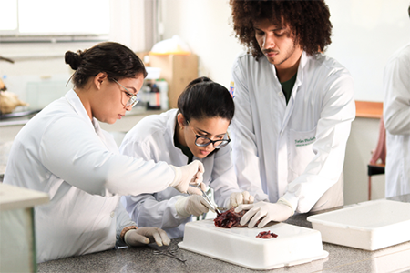 Uesb lança programa que garante mais autonomia aos cursos de graduação