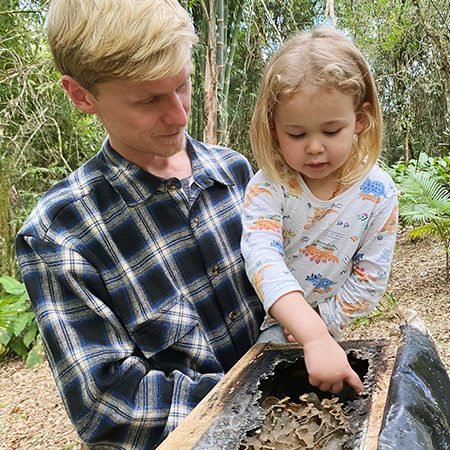 Plano Safra 23/24: Cresol libera primeiro crédito do Brasil para criação de abelhas sem ferrão