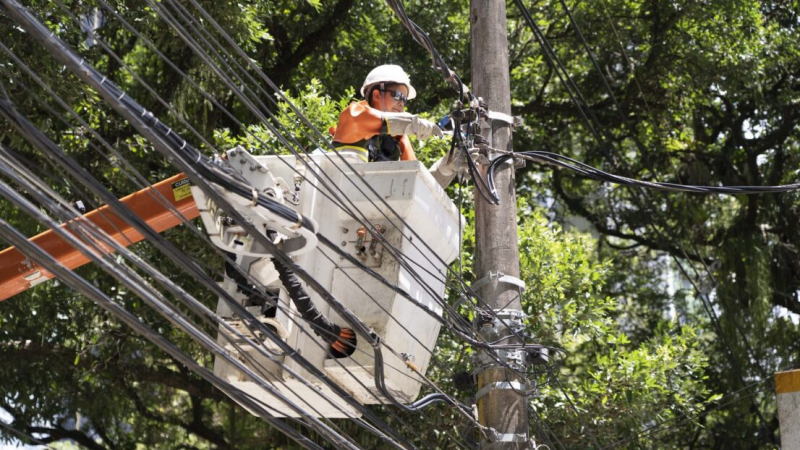 Neoenergia Coelba realiza mais de 170 mil podas na Bahia no primeiro semestre de 2023  