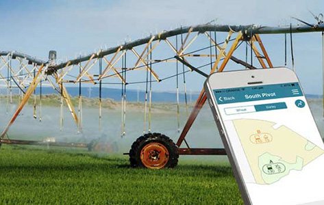 O papel crucial do Engenheiro Agrônomo na agricultura e na irrigação sustentável