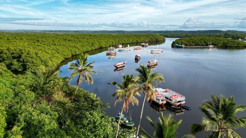 Santa Cruz Cabrália na Bahia elegerá suas 5 experiências incríveis 