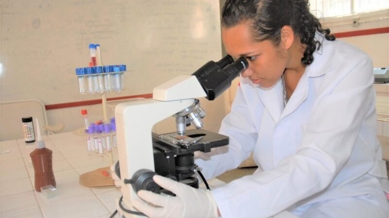 SEC abre inscrições para mais de 13 mil vagas em cursos técnicos gratuitos, nesta sexta (12)