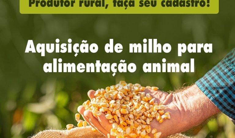 Agricultores que queiram adquirir milho para alimentação animal devem se cadastrar