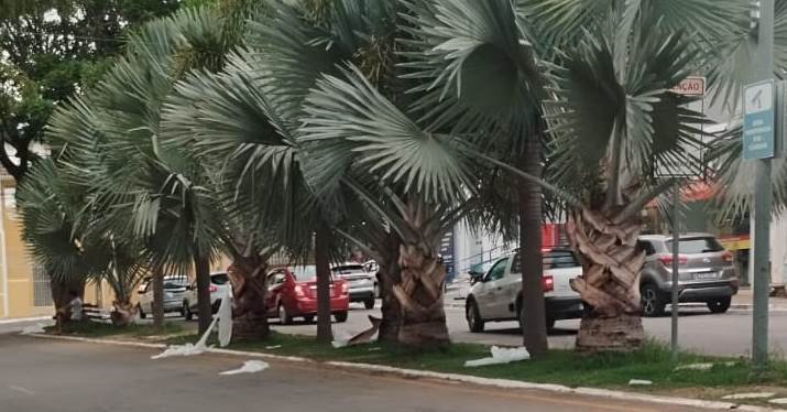 Ojás desamarrados: PMVC e Rede Caminho dos Búzios investigam ato de intolerância religiosa