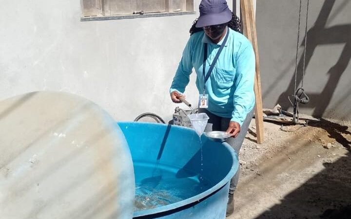 Boletim arboviroses: mês de janeiro registrou 801 notificações de dengue, chikungunya e zika