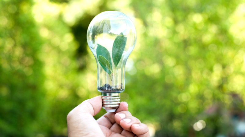 Verão finaliza com bandeira tarifária verde: aprenda a economizar ainda mais na conta de luz