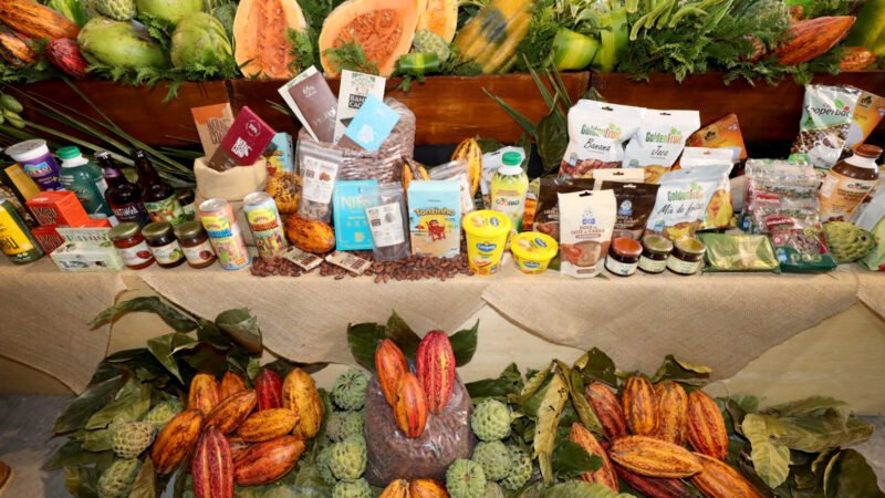 Projeto baiano é eleito o melhor do mundo pelo Fundo Internacional de Desenvolvimento Agrícola