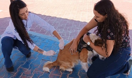 Feira de Negócios de Guanambi contará com vacinação antirrábica gratuita para cães e gatos 