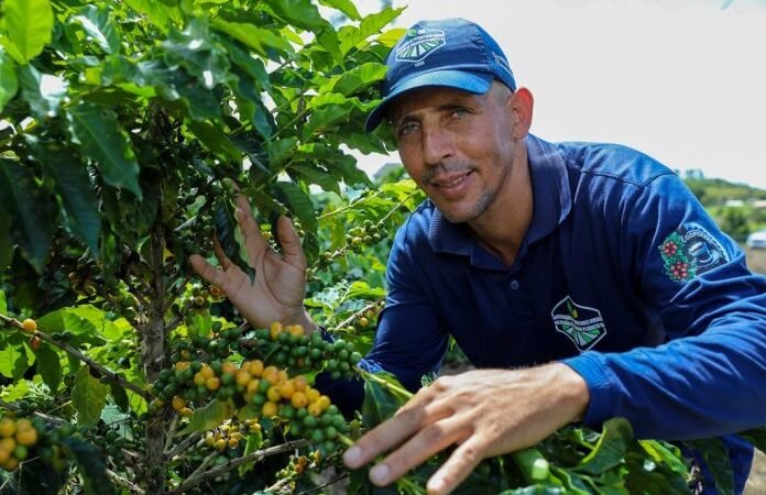 Dia Mundial do Café: investimentos na produção geram impactos positivos na economia da Bahia