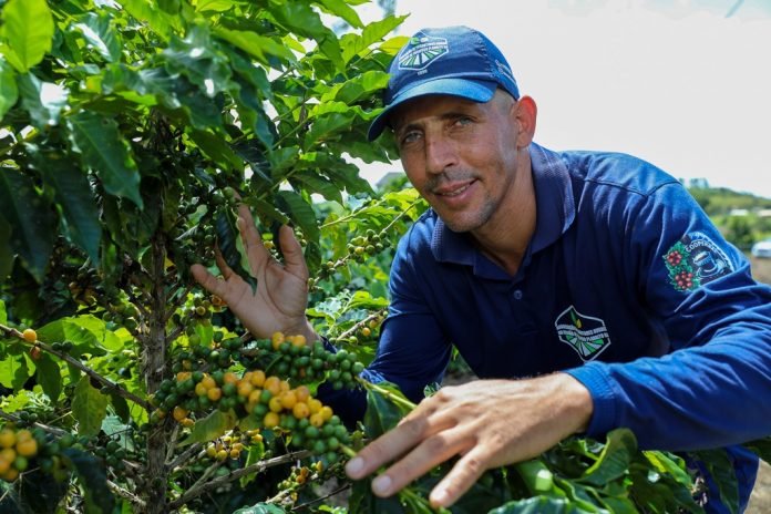 Dia Mundial do Café: investimentos na produção geram impactos positivos na economia da Bahia