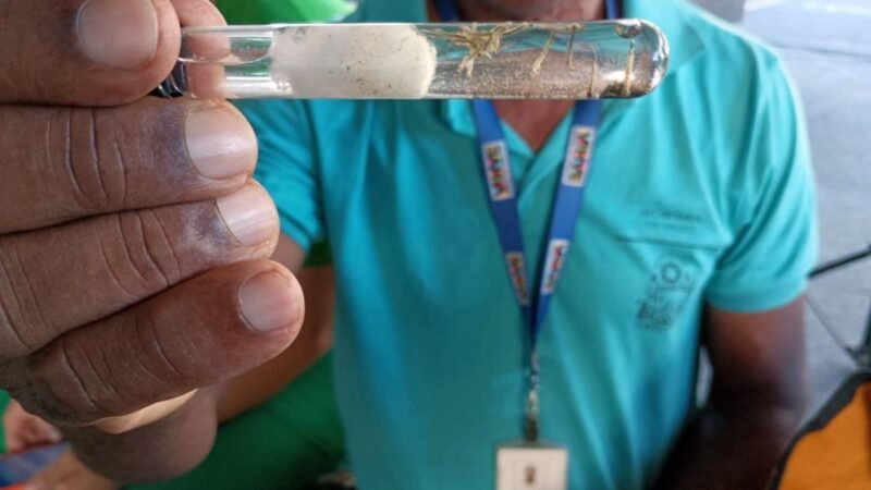 Vitória da Conquista segue no topo do ranking de registros de dengue Bahia