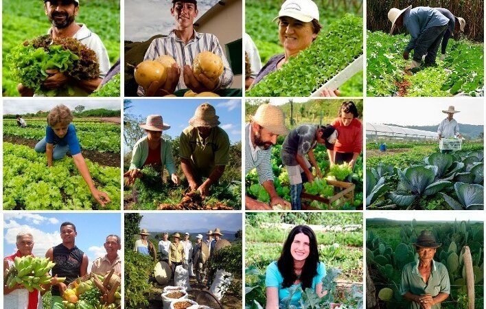 Conab realiza capacitação para o PAA para agricultores familiares