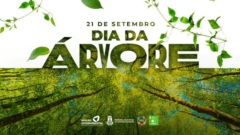 TJBA celebra o Dia da Árvore