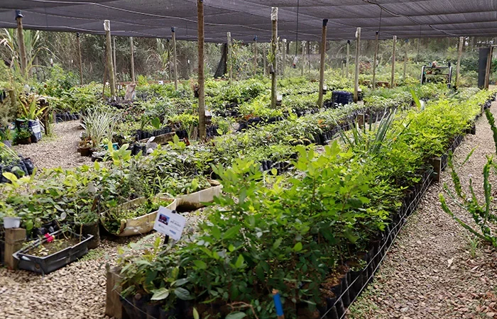 Viveiro Educador da Embasa proporciona conhecimento e preservação ambiental