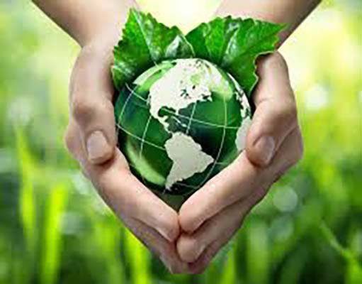 Ecologia Integral é tema da Campanha da Fraternidade 2025