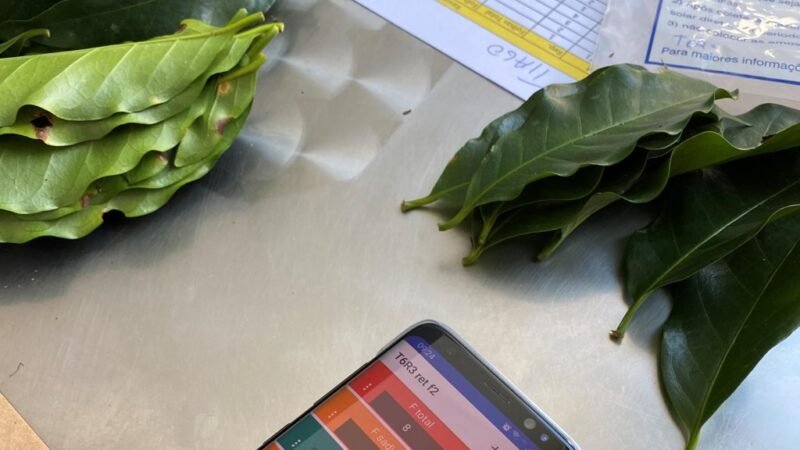 Chapada Diamantina beneficiada com iniciativa para impulsionar a cafeicultura