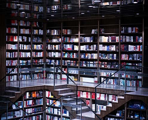 Não compreender para sobreviver: crônica da semana por Nilson Lattari