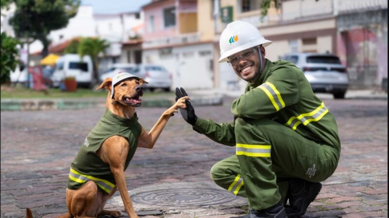 Semana do Estudante: Neoenergia Coelba promove ação educativa com crianças