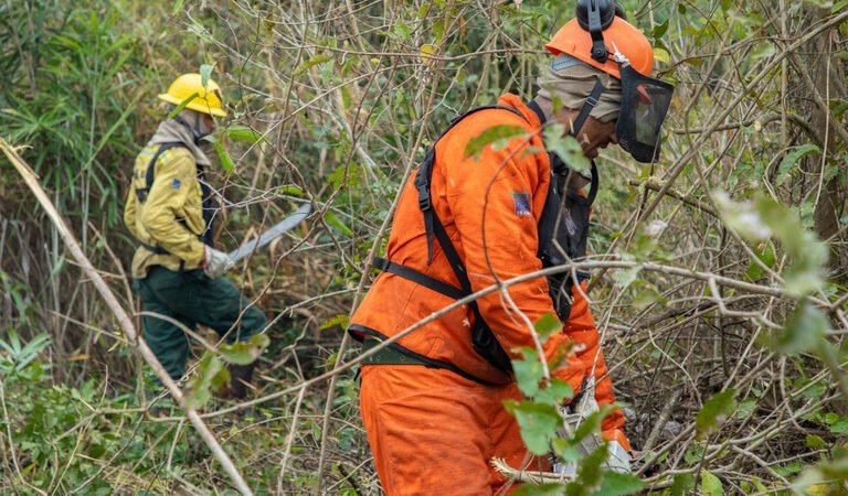 Brasil registra menor número de queimadas da série histórica em agosto