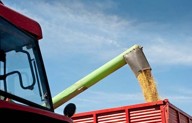 Bahia tem sete cidades entre as maiores produtoras agrícolas do Brasil