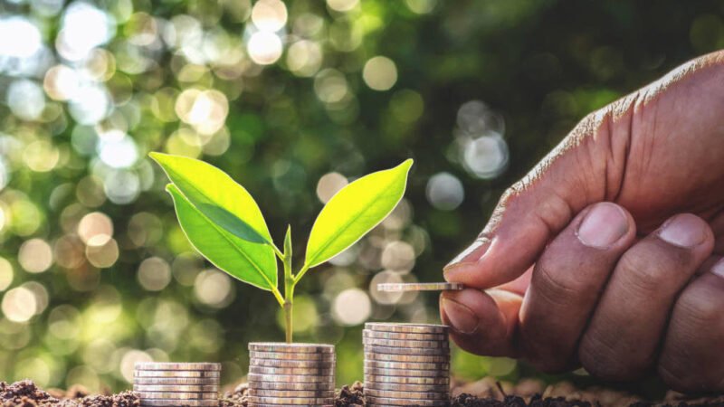 Recuperação de ecossistemas: como restaurar áreas degradadas