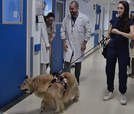 Cadelinha Lola encanta crianças e adultos durante visita ao Hospital Roberto Santos