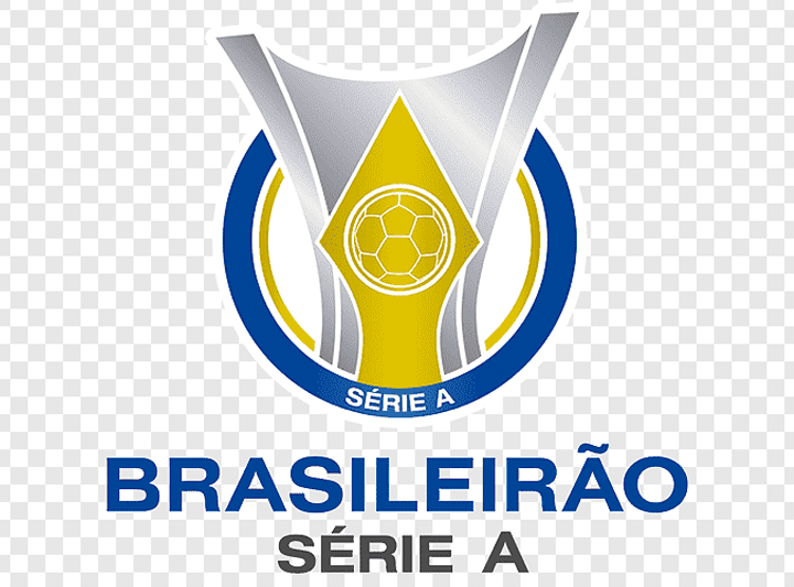 Sem zebra, Flamengo é o campeão do Brasileirão série A