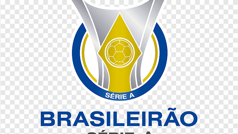 Sem zebra, Flamengo é o campeão do Brasileirão série A