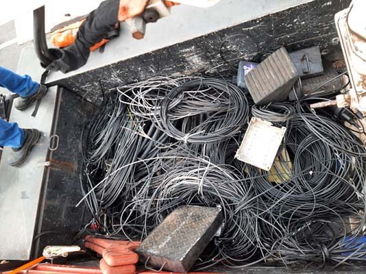 Operação Gatonet da Neoenergia Coelba vai a 20 cidades na próxima semana