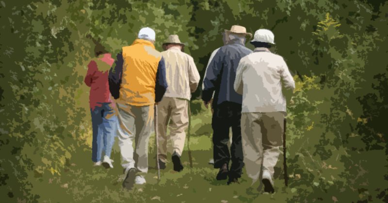 Pesquisa busca voluntários idosos para estudo sobre equilíbrio e prevenção de quedas