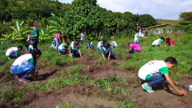 Educação Ambiental e Inclusão Social: Conexões Possíveis