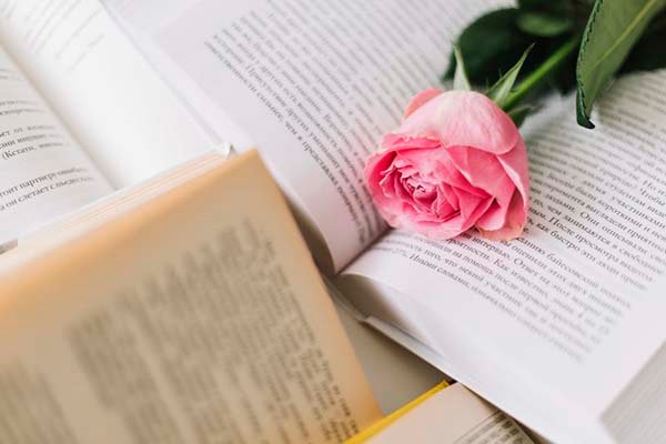 Dia Mundial da Poesia 21/03: 19 poetisas brasileiras para conhecer e celebrar