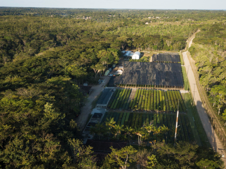 Fundo Clima: BNDES desembolsa R$ 26 mi à projeto da Symbiosis na Bahia