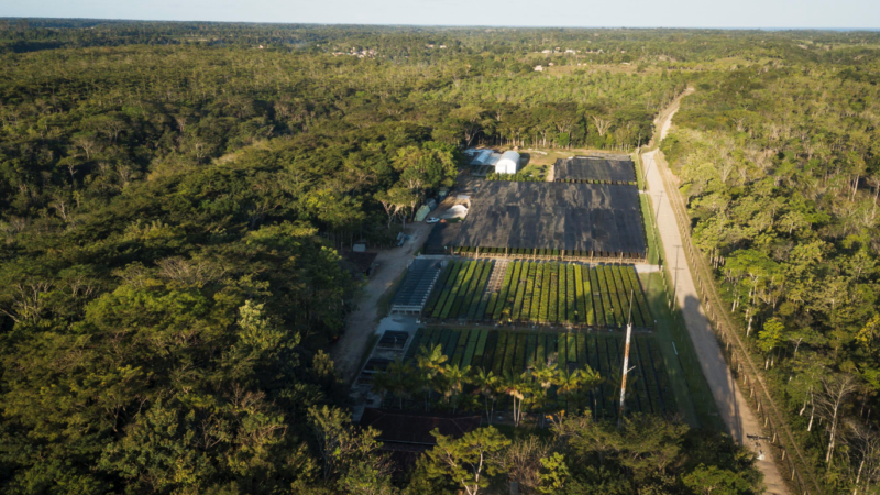 Fundo Clima: BNDES desembolsa R$ 26 mi à projeto da Symbiosis na Bahia