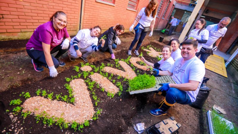Dia dos Voluntários Telefônica Vivo mobiliza mais de 11 mil colaboradores: 46 mil pessoas impactadas