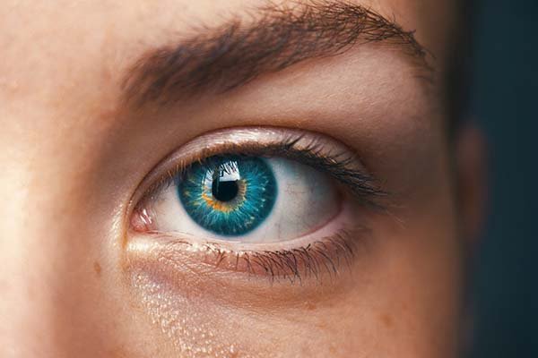 O que nossos olhos veem