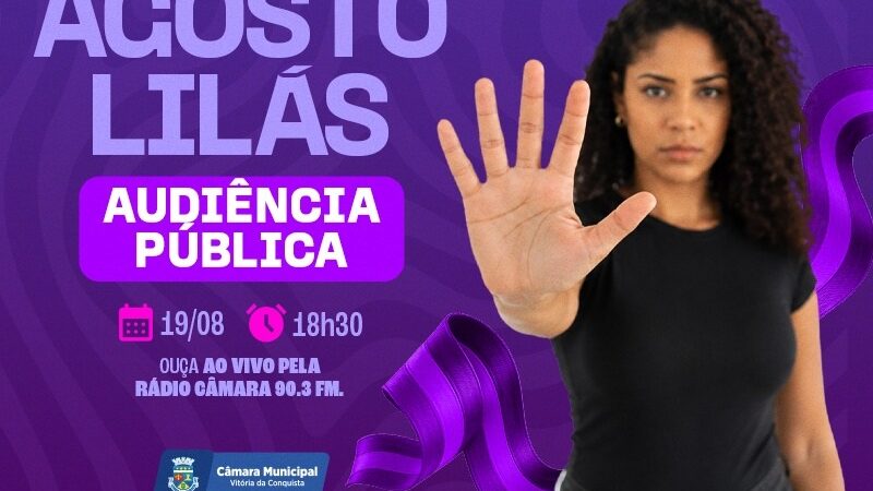 Câmara realiza audiência pública sobre os 20 anos da Lei Maria da Penha