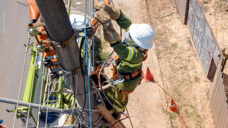 Conquista e mais 20 cidades recebem a Operação Gatonet da Neoenergia Coelba