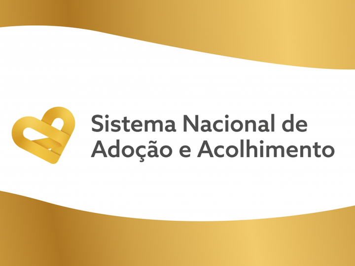 Sistema Nacional de Adoção e Acolhimento é discutido em encontro formativo  