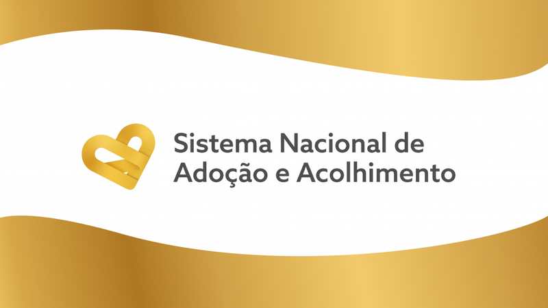 Sistema Nacional de Adoção e Acolhimento é discutido em encontro formativo  